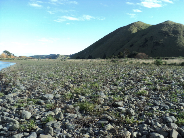 Name:  picture 6010.jpg
Views: 201
Size:  163.7 KB