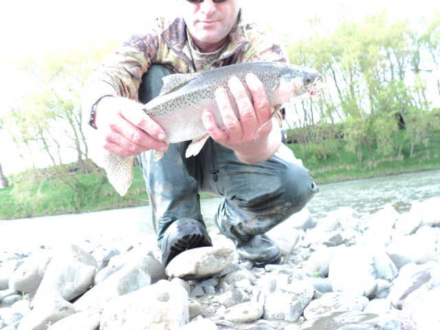 Name:  picture 424.jpg
Views: 585
Size:  165.2 KB