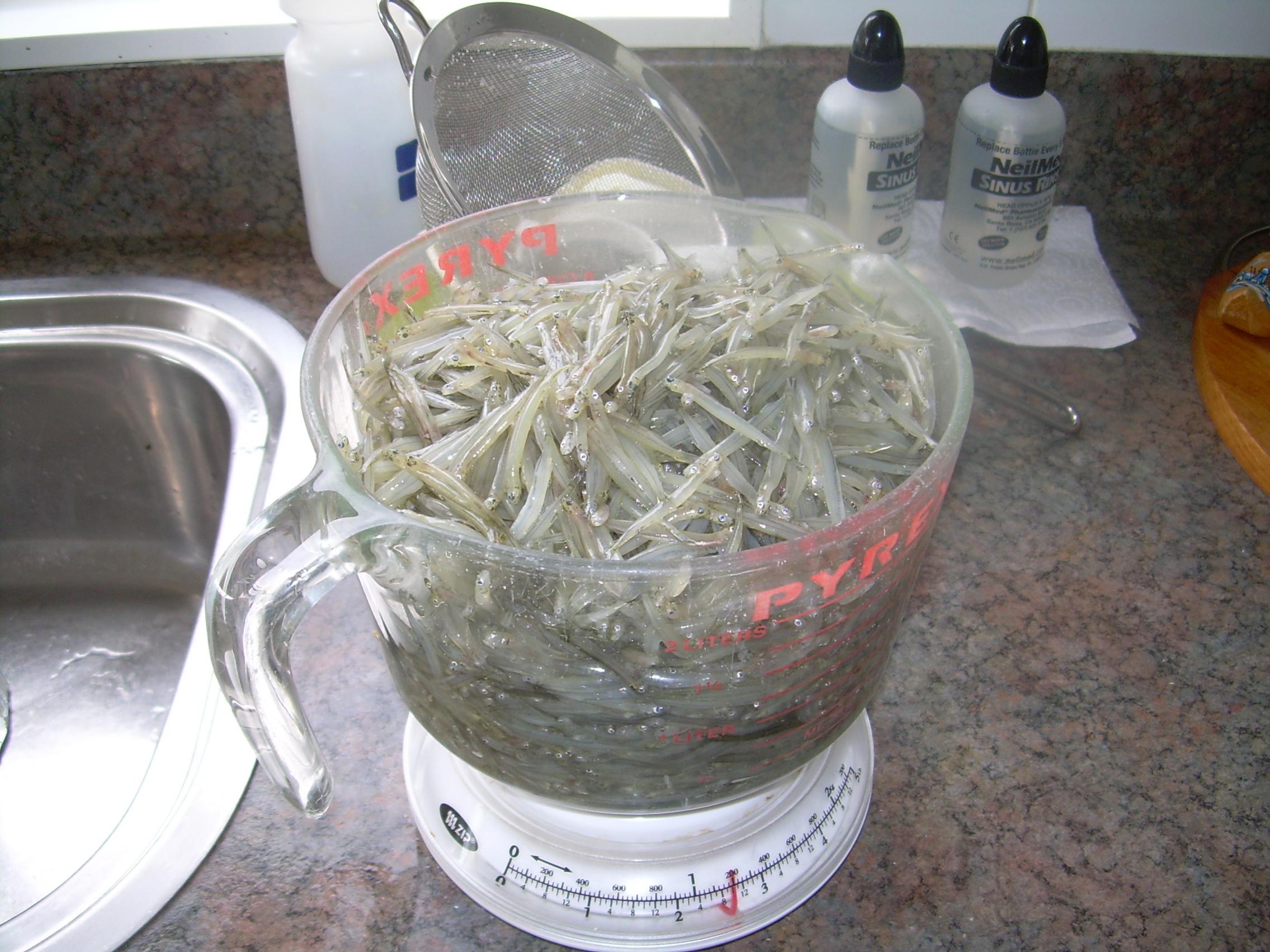 Name:  Whitebait.jpg
Views: 655
Size:  398.6 KB