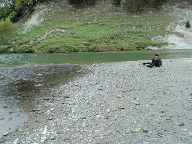 Name:  picture 443.jpg
Views: 455
Size:  164.2 KB