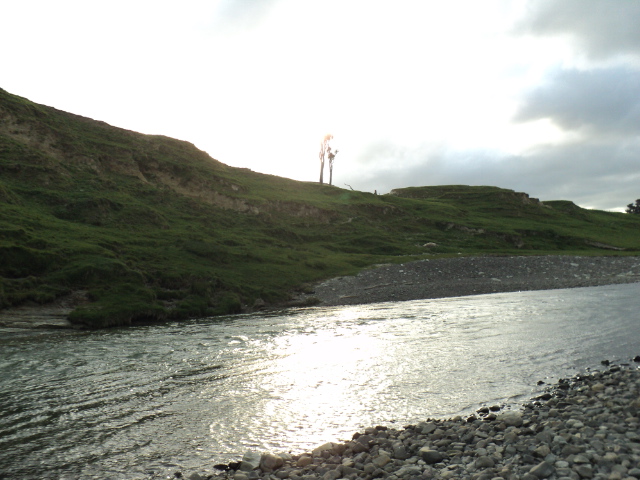 Name:  picture 444.jpg
Views: 518
Size:  164.1 KB