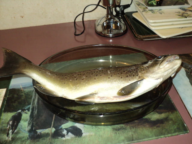 Name:  picture 6618.jpg
Views: 227
Size:  165.2 KB
