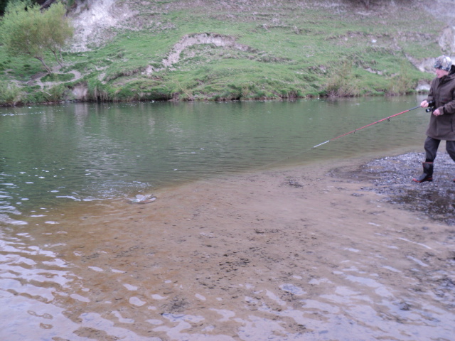 Name:  picture 458.jpg
Views: 413
Size:  165.2 KB
