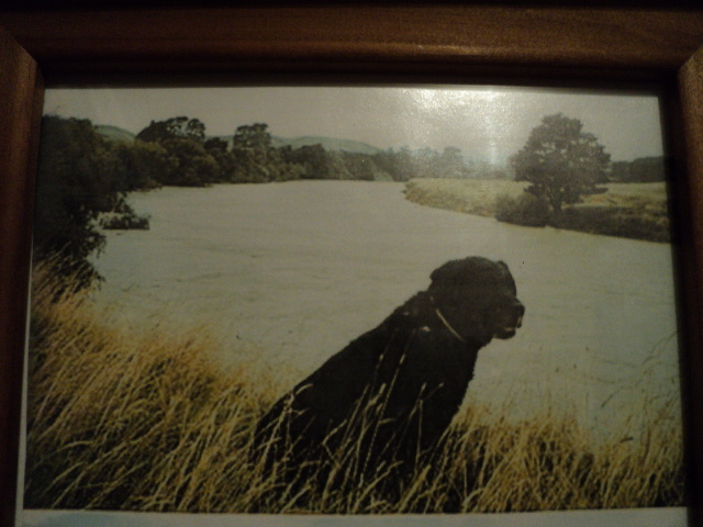 Name:  picture 6702.jpg
Views: 607
Size:  165.2 KB