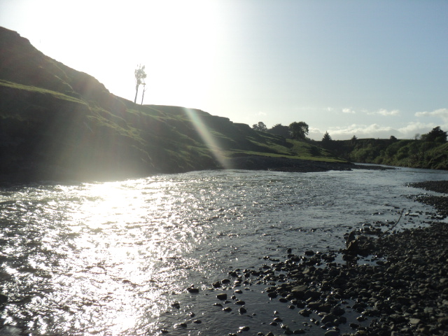 Name:  picture 6807.jpg
Views: 788
Size:  164.1 KB