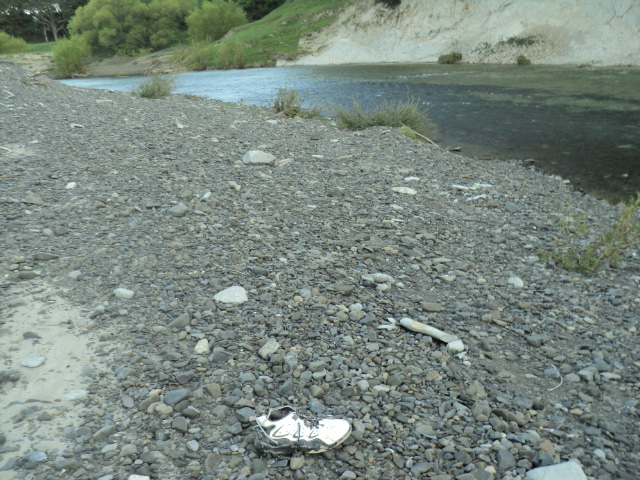 Name:  picture 6816.jpg
Views: 754
Size:  165.0 KB
