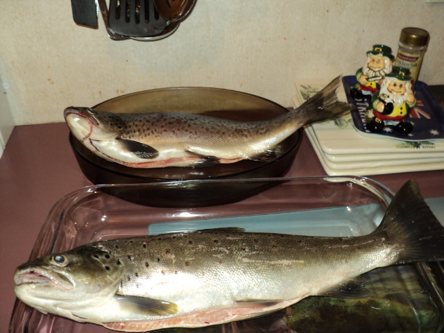 Name:  picture 478.jpg
Views: 407
Size:  165.1 KB