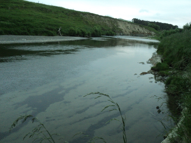 Name:  picture 7114.jpg
Views: 269
Size:  163.5 KB