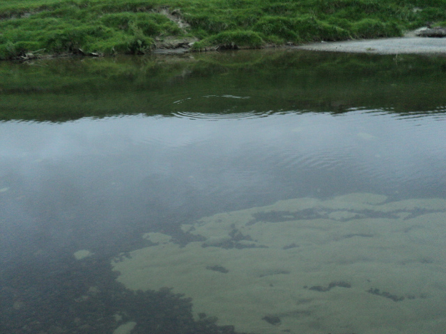 Name:  picture 7116.jpg
Views: 292
Size:  161.0 KB