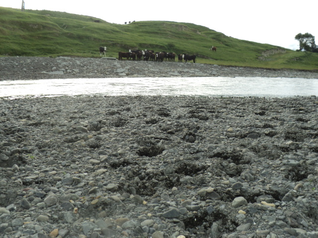 Name:  picture 7098.jpg
Views: 263
Size:  164.7 KB