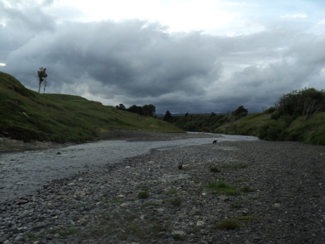 Name:  picture 7244.jpg
Views: 251
Size:  163.4 KB