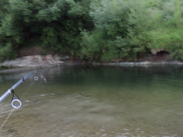 Name:  picture 7298.jpg
Views: 222
Size:  165.1 KB