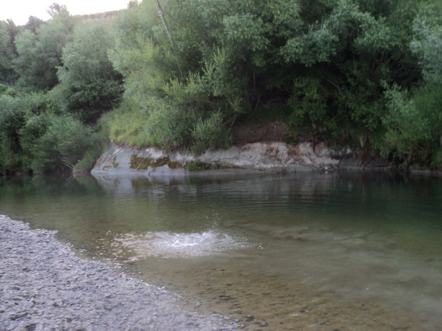 Name:  picture 7299.jpg
Views: 238
Size:  162.5 KB