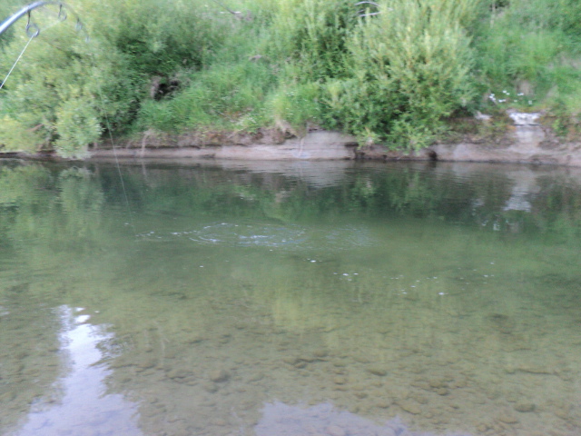 Name:  picture 7320.jpg
Views: 260
Size:  164.3 KB