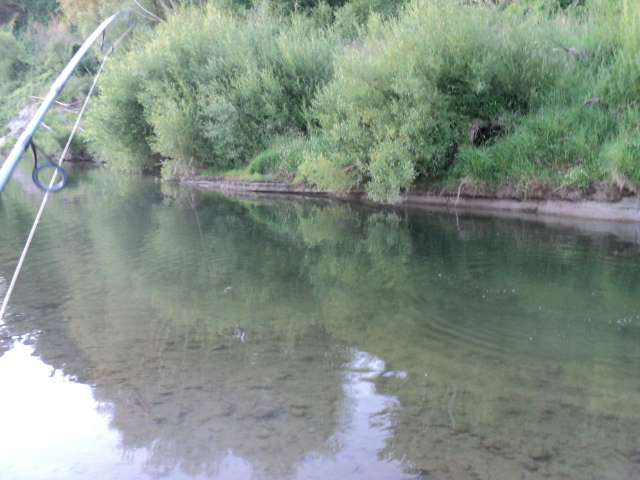 Name:  picture 7321.jpg
Views: 196
Size:  162.8 KB
