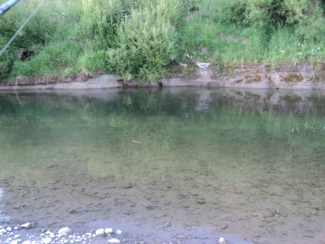 Name:  picture 7322.jpg
Views: 251
Size:  164.8 KB