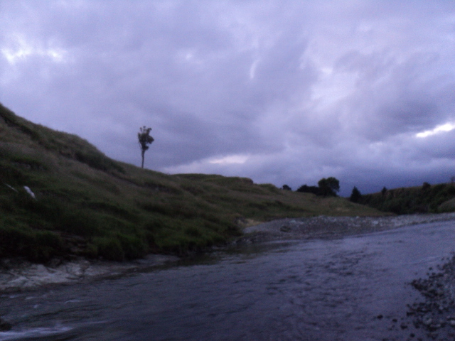 Name:  picture 7336.jpg
Views: 500
Size:  162.9 KB