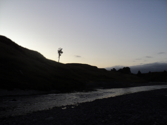 Name:  picture 7382.jpg
Views: 169
Size:  164.5 KB
