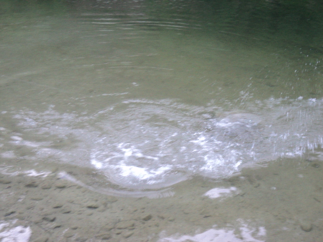 Name:  picture 7391.jpg
Views: 205
Size:  163.9 KB