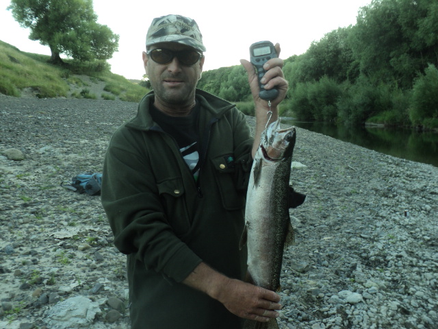 Name:  picture 7396.jpg
Views: 197
Size:  164.0 KB