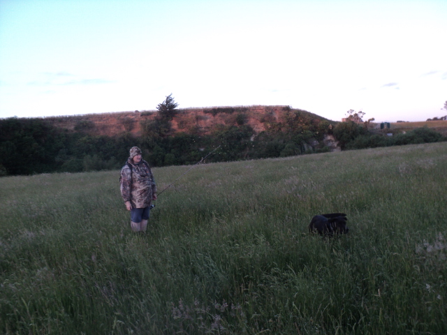 Name:  picture 7398.jpg
Views: 196
Size:  165.0 KB