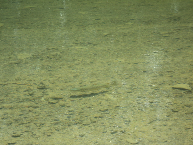 Name:  picture 7400.jpg
Views: 302
Size:  162.5 KB