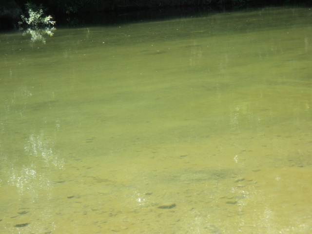 Name:  picture 7401.jpg
Views: 365
Size:  160.9 KB