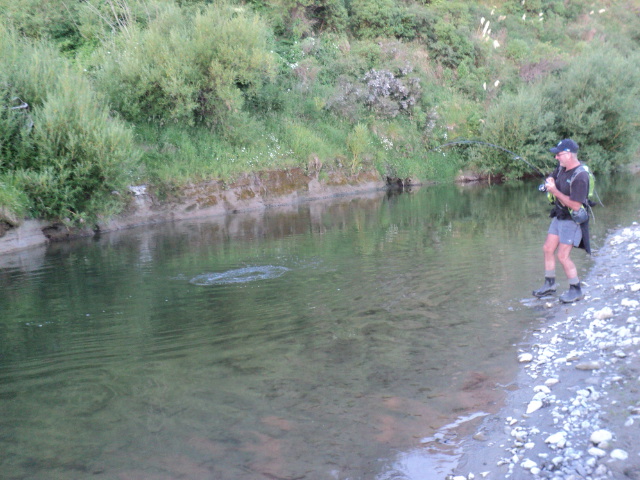 Name:  picture 7408.jpg
Views: 278
Size:  164.6 KB