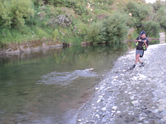 Name:  picture 7409.jpg
Views: 290
Size:  165.1 KB