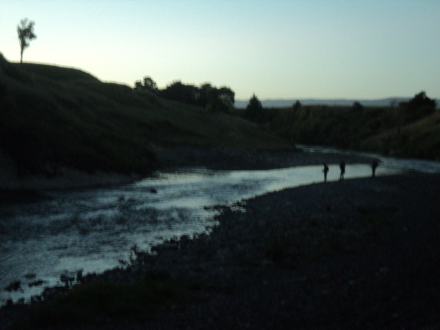 Name:  picture 7417.jpg
Views: 303
Size:  158.7 KB