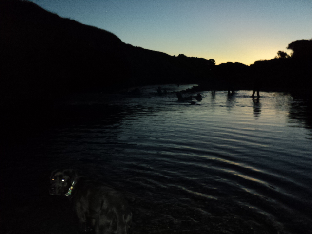 Name:  picture 7432.jpg
Views: 273
Size:  165.0 KB