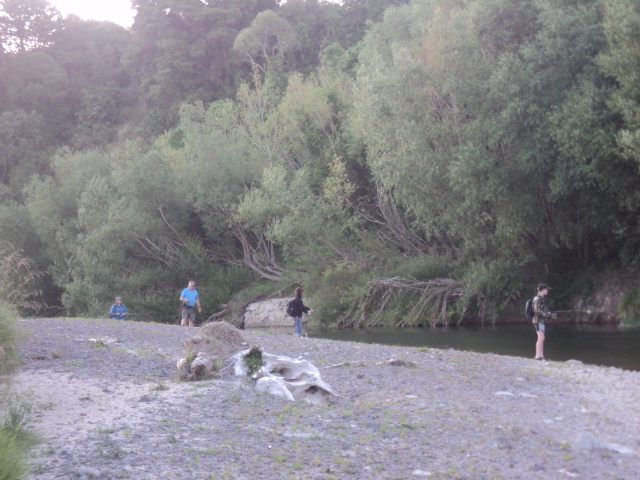 Name:  picture 7429.jpg
Views: 283
Size:  164.7 KB