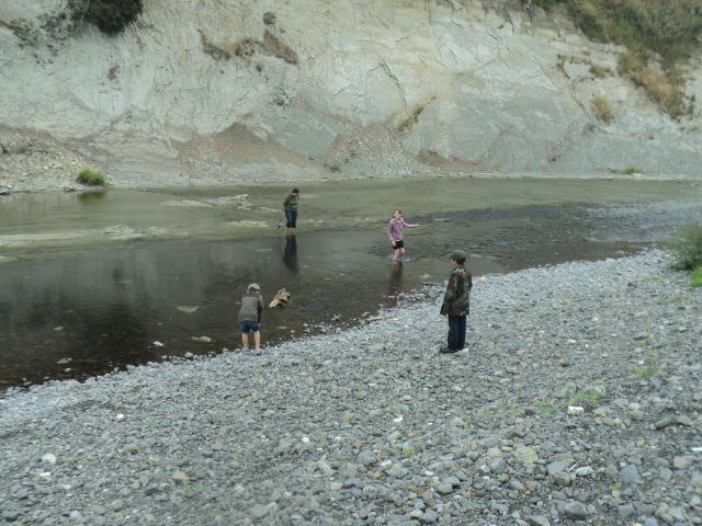 Name:  picture 7449.jpg
Views: 236
Size:  163.3 KB