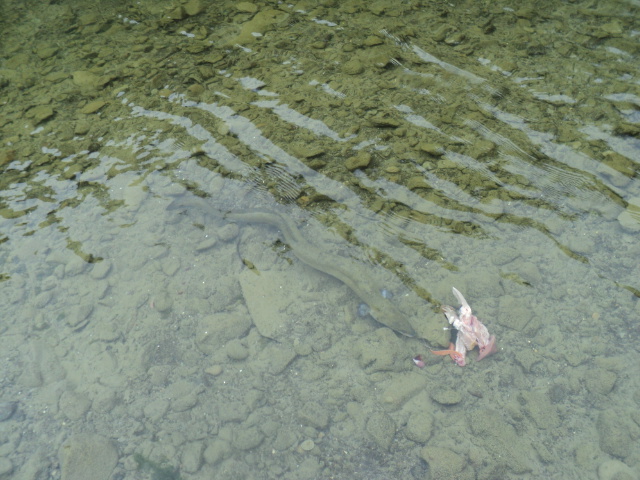 Name:  picture 7460.jpg
Views: 184
Size:  162.9 KB