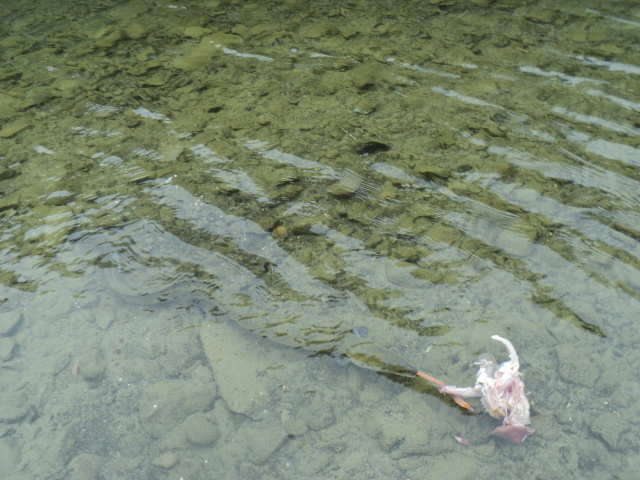 Name:  picture 7461.jpg
Views: 164
Size:  165.2 KB