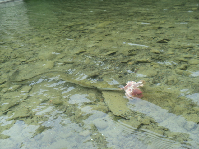Name:  picture 7463.jpg
Views: 175
Size:  164.2 KB