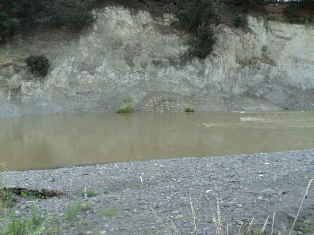 Name:  picture 7478.jpg
Views: 212
Size:  164.1 KB