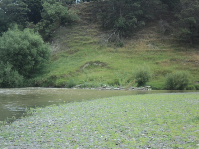 Name:  picture 7480.jpg
Views: 183
Size:  163.7 KB