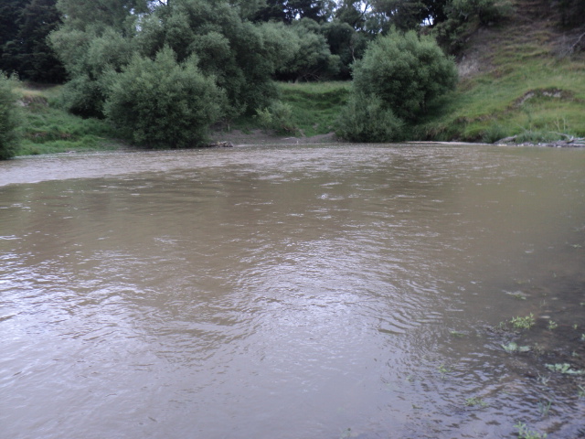 Name:  picture 7484.jpg
Views: 207
Size:  165.0 KB