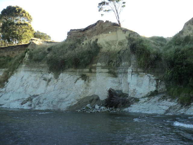 Name:  picture 7490.jpg
Views: 198
Size:  164.8 KB