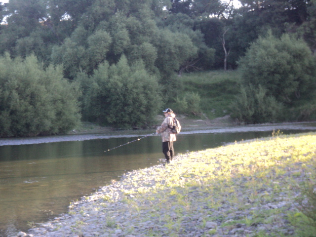 Name:  picture 7492.jpg
Views: 176
Size:  163.5 KB