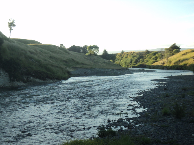 Name:  picture 7493.jpg
Views: 189
Size:  162.0 KB