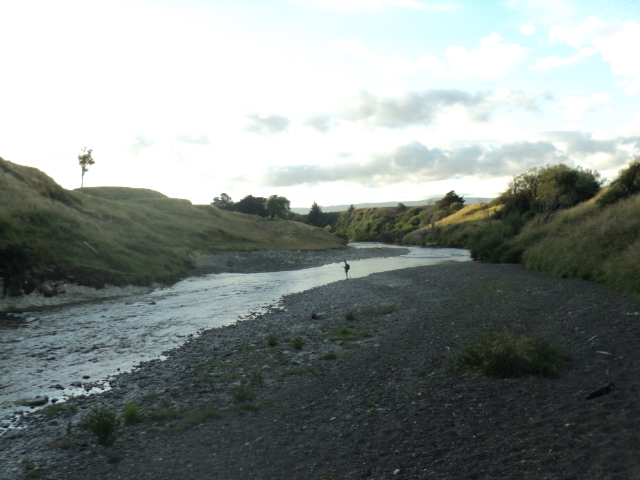 Name:  picture 7512.jpg
Views: 234
Size:  164.8 KB