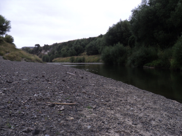 Name:  picture 7533.jpg
Views: 197
Size:  165.0 KB