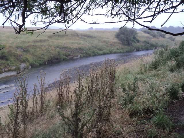 Name:  picture 7535.jpg
Views: 217
Size:  165.1 KB