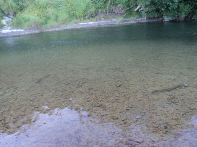 Name:  picture 7554.jpg
Views: 169
Size:  164.8 KB