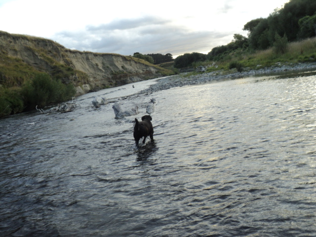 Name:  picture 7567.jpg
Views: 205
Size:  164.9 KB