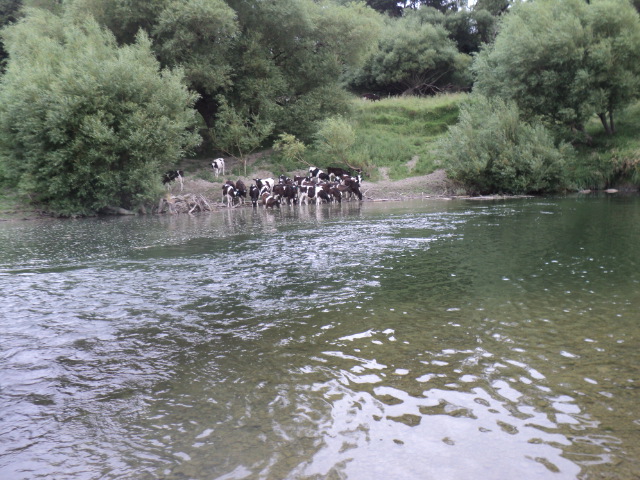 Name:  picture 7541.jpg
Views: 190
Size:  163.8 KB