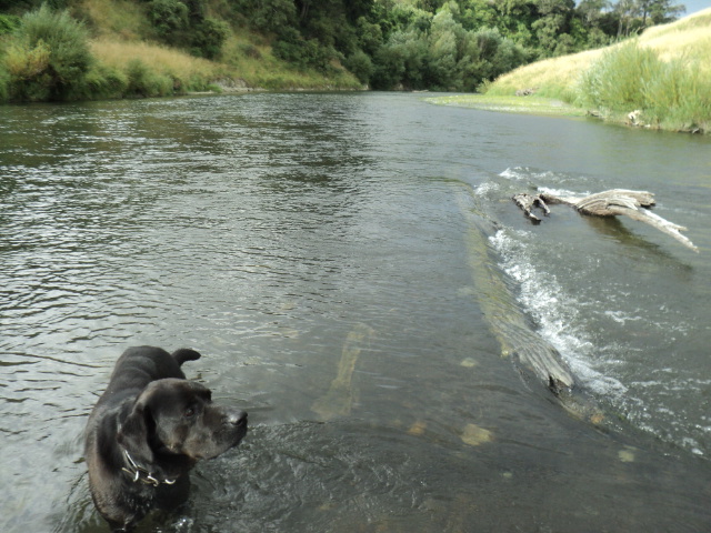 Name:  picture 7602.jpg
Views: 183
Size:  164.9 KB