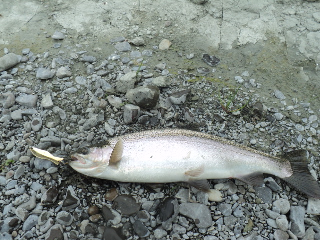 Name:  picture 4672.jpg
Views: 227
Size:  164.5 KB